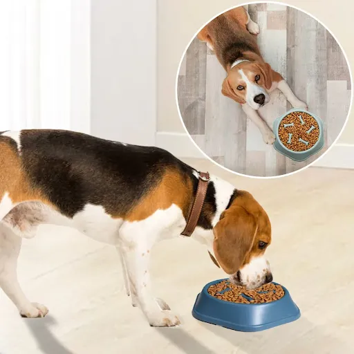 New Pet Dog Feeding Food Bowl Puppy Slow Down Eating Feeder Dish Bowl Prevent Obesity Pet Dogs Supplies Food Stora Drops