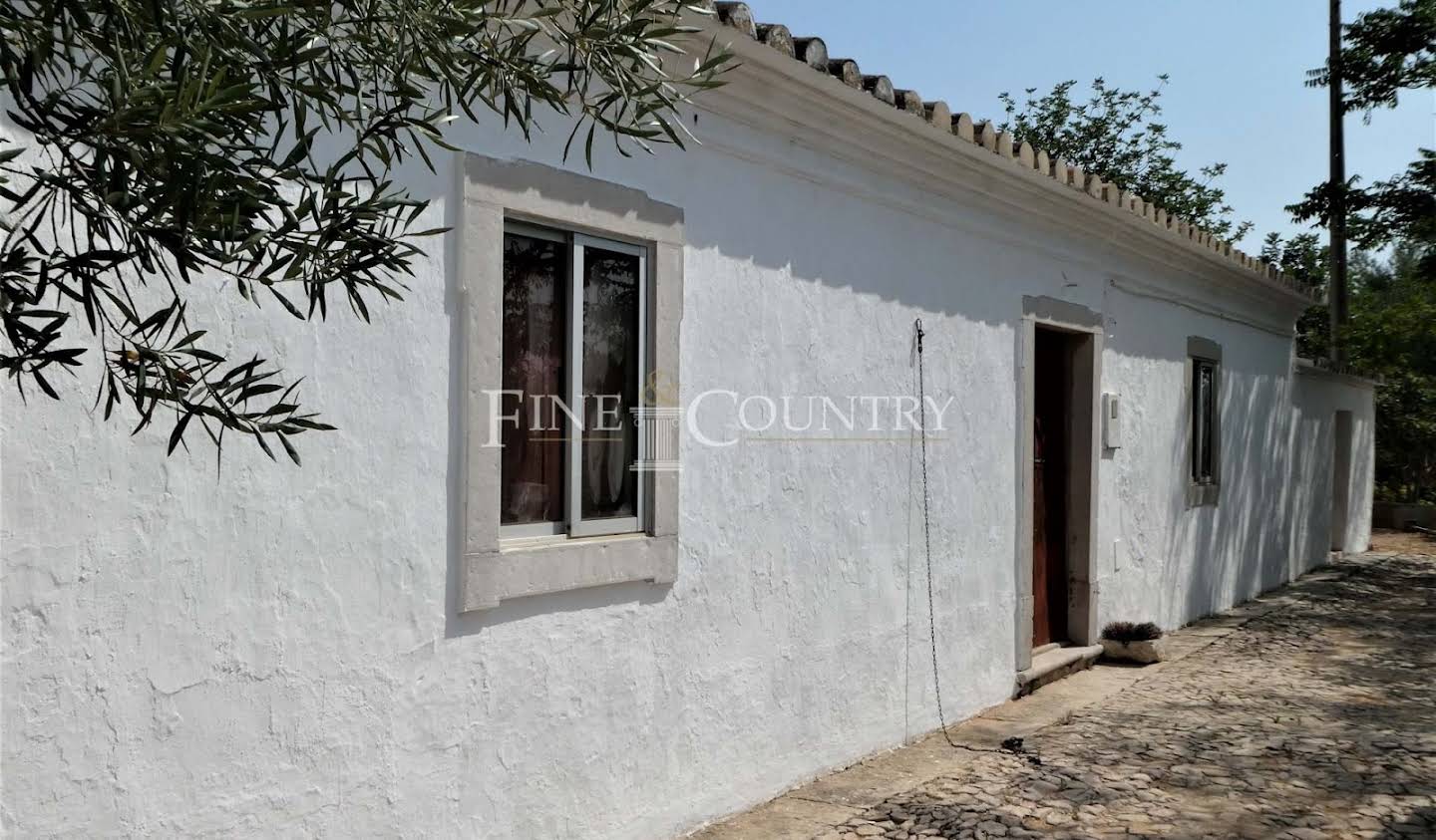 House Tavira