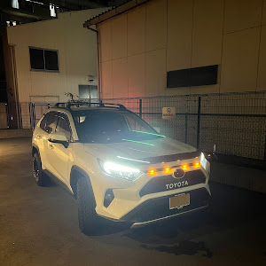 RAV4 MXAA54