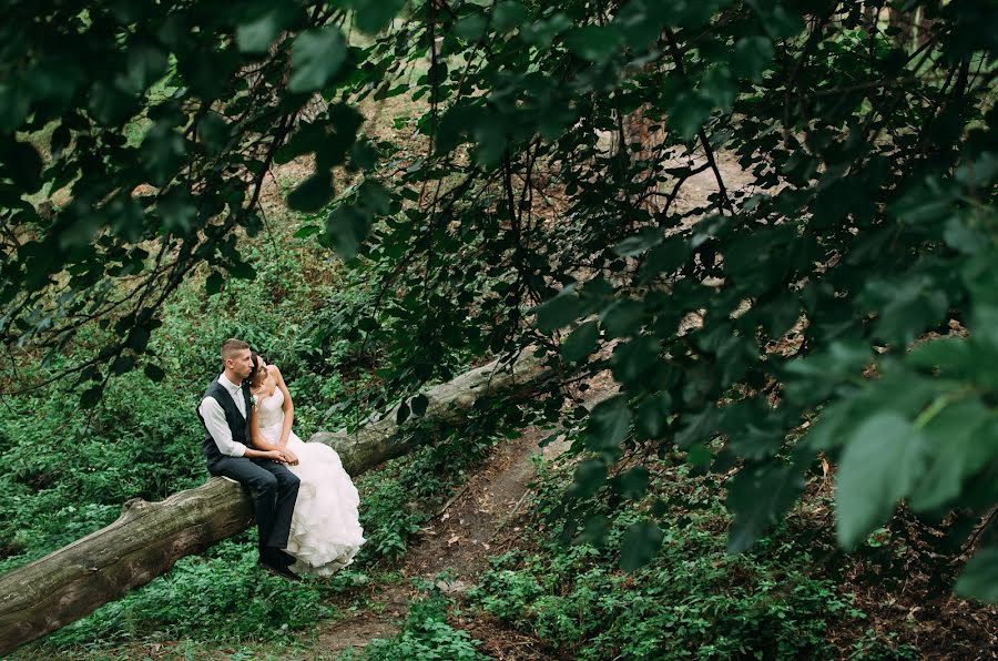 Wedding photographer Alena Danilyuk (alenadanyluk). Photo of 27 March 2017