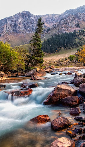 Screenshot River Video Wallpaper RZDO
