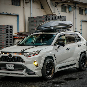 RAV4 MXAA54