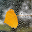 For Xperia Theme Autumn Download on Windows