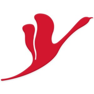 Flamingo Health logo