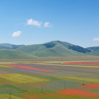 La fiorita di 