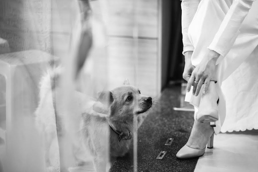 Fotografo di matrimoni Bao Jin (jinbao). Foto del 10 gennaio 2020