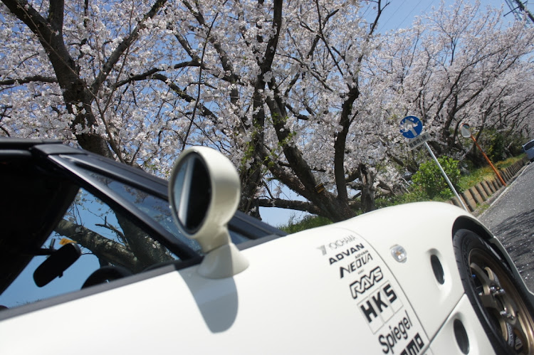 カプチーノの桜・桜並木・桜吹雪・桜とコラボ・桜と愛車に関するカスタム事例の投稿画像6枚目