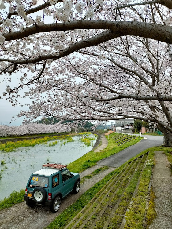 の投稿画像9枚目