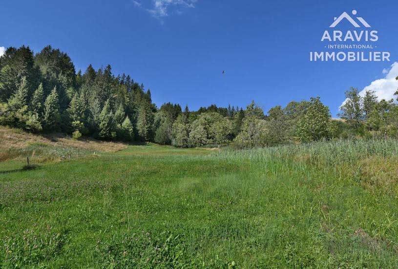  Vente Terrain à bâtir - 6 823m² à Le Grand-Bornand (74450) 