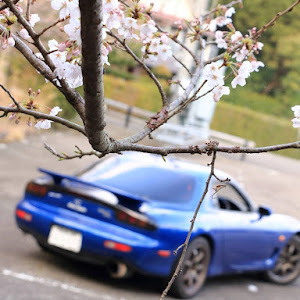 RX-7 FD3S 前期