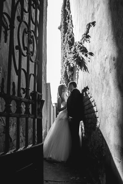 Wedding photographer Ivana Todorovic (todorovic). Photo of 7 January 2017