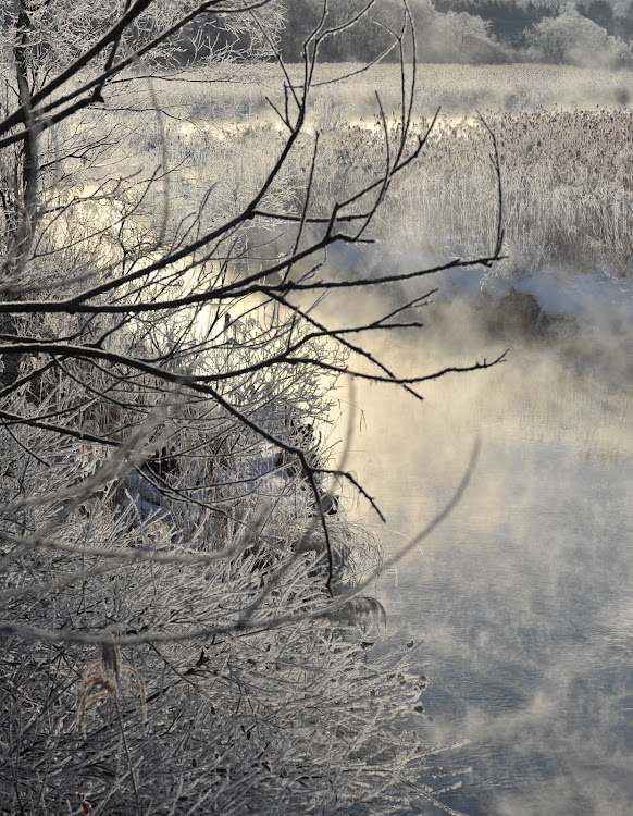 エクストレイルのNikon D700・霧氷・北海道・美々川に関するカスタム事例の投稿画像2枚目