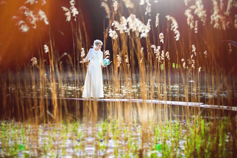 Photographe de mariage Sergey Gapeenko (gapeenko). Photo du 25 avril 2016