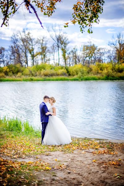 Fotograful de nuntă Elena Sterkhova (sterhovaelena). Fotografia din 14 septembrie 2015