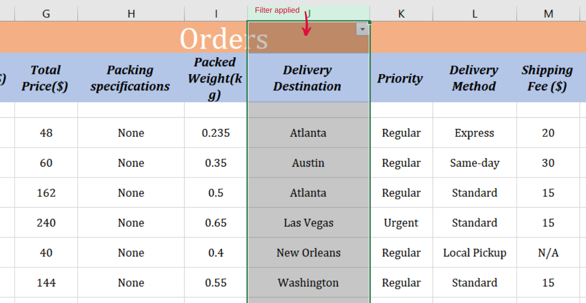 Logistics tracking spreadsheet excel | Filter | the filter applied to Delivery Location column