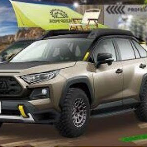 RAV4