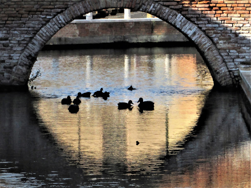 Il ponte-etnop li di paolomole