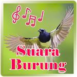 Suara Burung Apk