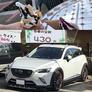 CX-3 DK5AW