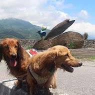 比西里岸風味餐廳