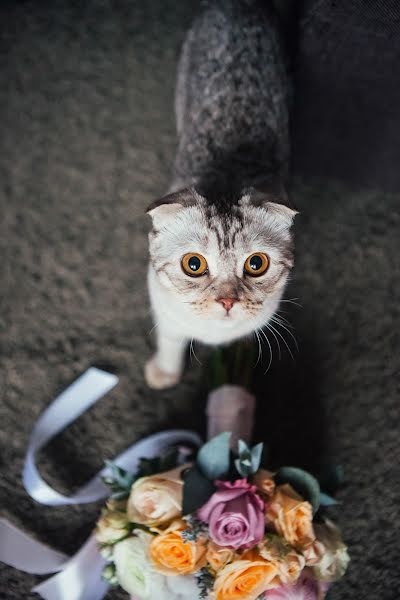 Fotógrafo de casamento Toma Zhukova (toma-zhukova). Foto de 26 de janeiro 2018