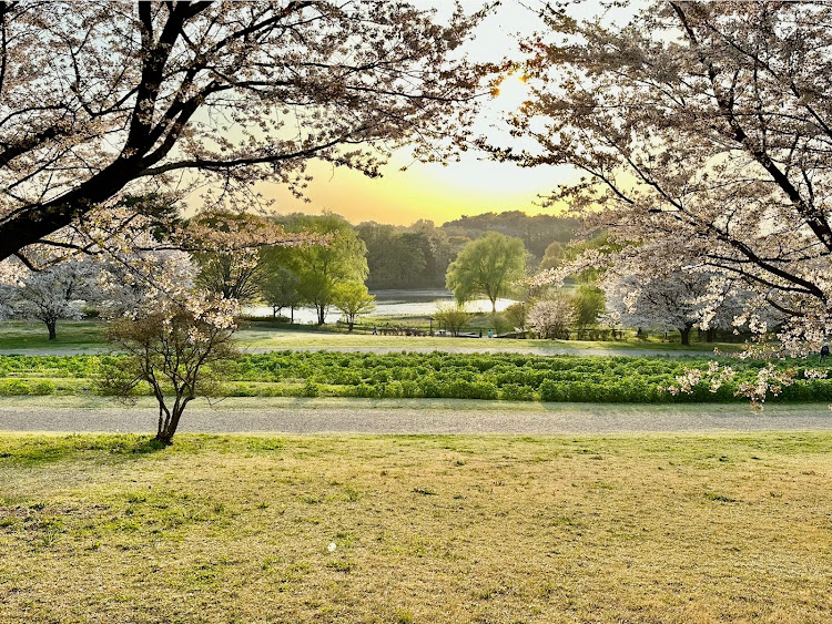 の投稿画像7枚目