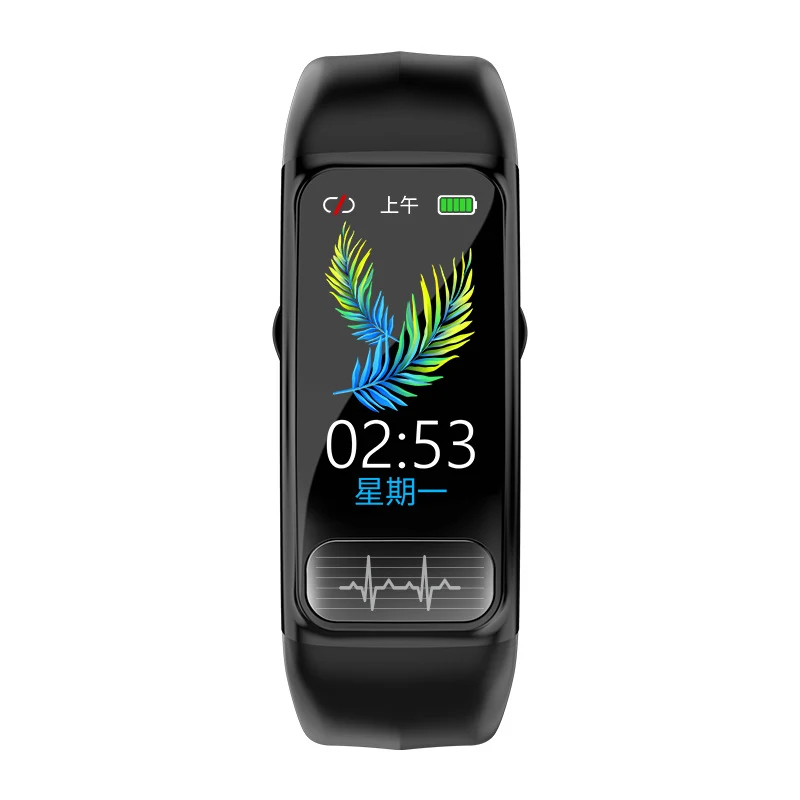 ECG PPG Smart Watch Sport Bluetooth Polsband Hartslag Monitoring Slimme Armband Zwart