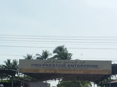 Pro Prestige Enterprise