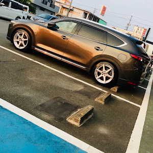 CX-8
