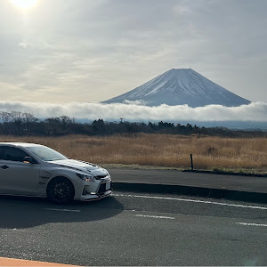 マークX G's
