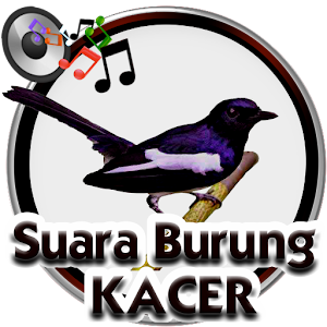 Suara Burung Kacer  Icon