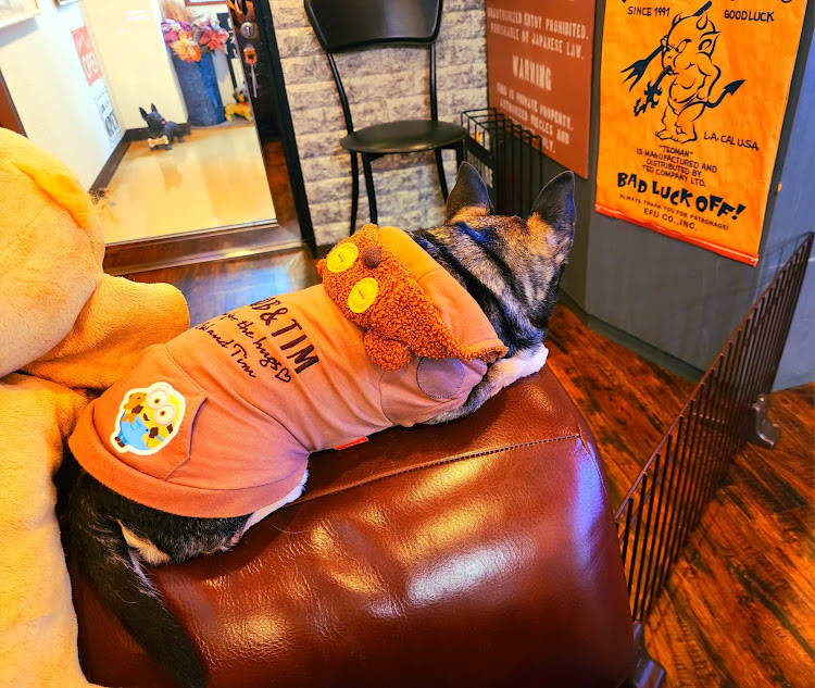 マイクラC+Cのkiraさんが投稿したカスタム事例の投稿画像7枚目