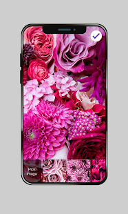 Pink Flowers For Girls Valentine Love PIN Lock(圖1)-速報App