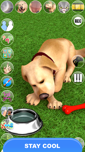 Screenshot Talking John Dog: Funny Dog