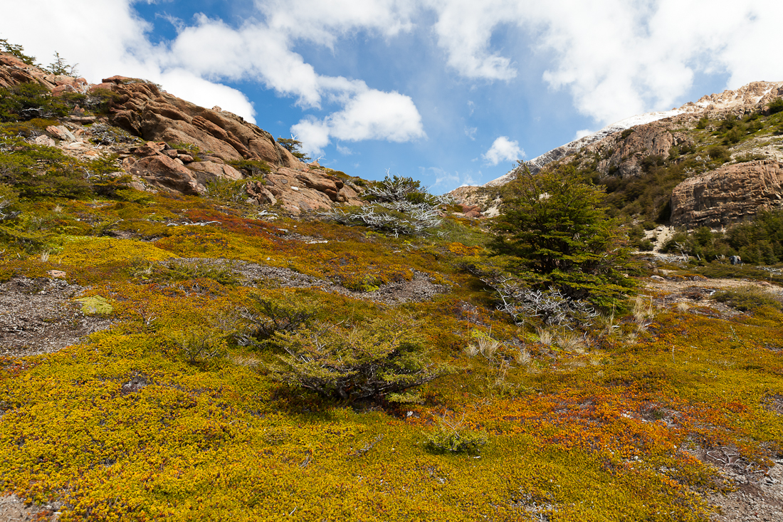 Патагония: Carretera Austral - Фицрой - Торрес-дель-Пайне. Треккинг, фото.