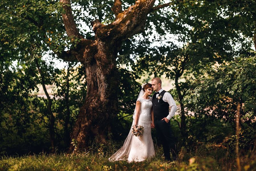 Wedding photographer Sergey Ustinkin (ustsinkikn). Photo of 18 November 2015