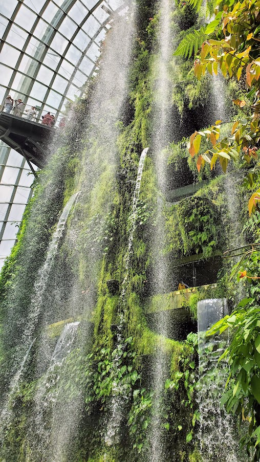 Guide to Visiting Gardens by the Bay, Singapore: inside Cloud Forest