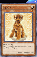 迷犬マロン