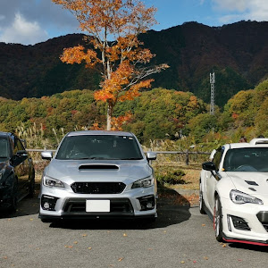 インプレッサ WRX STI GVB