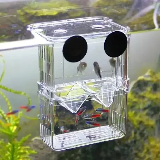 Acrylic Aquarium Fish Breeder Box Durable Betta Fish Tank Fish Breeding Isolation Box Hatching Incubator Box For Baby Sh