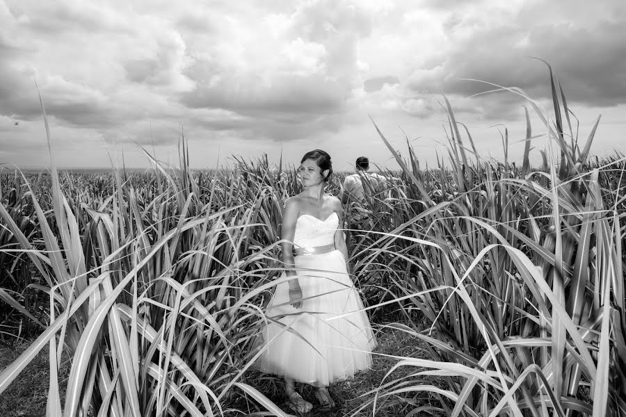 Fotografo di matrimoni Aleksey Aryutov (mauritius). Foto del 18 marzo 2017