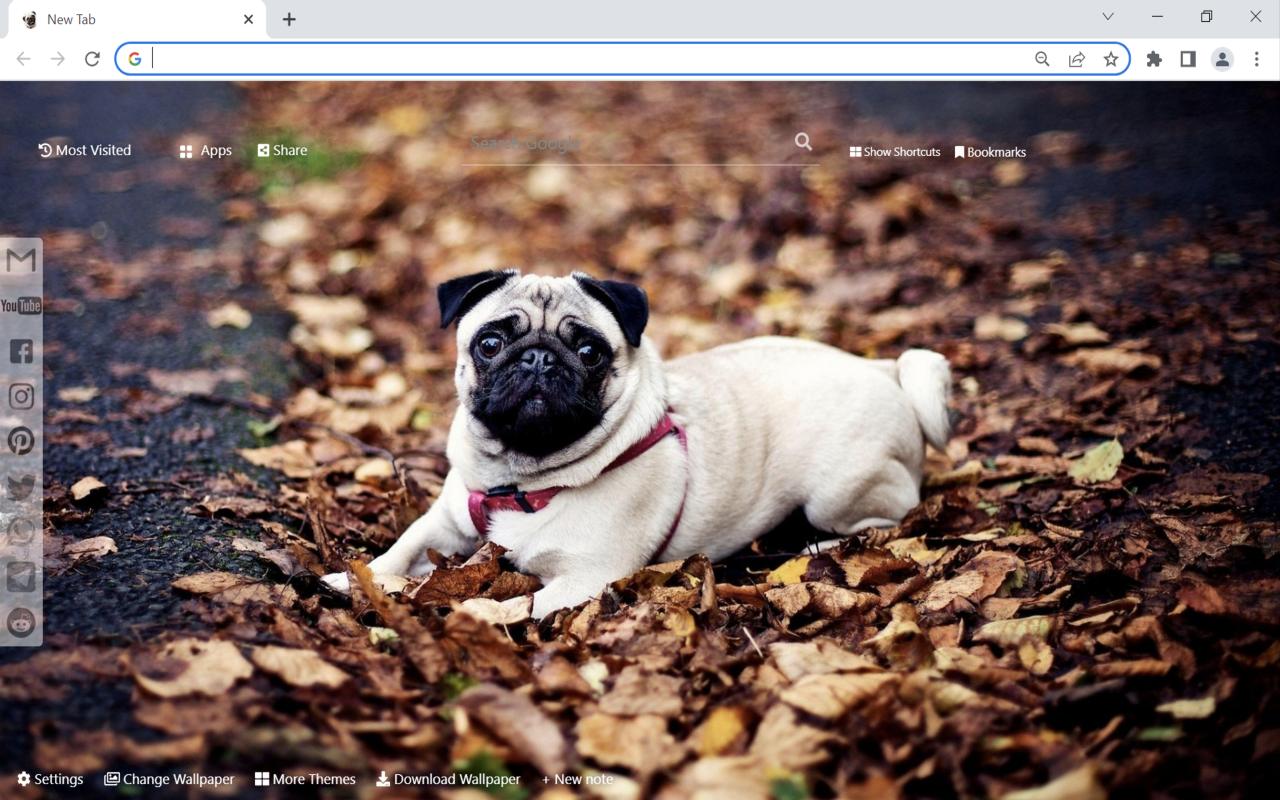 Pug Wallpaper Preview image 2