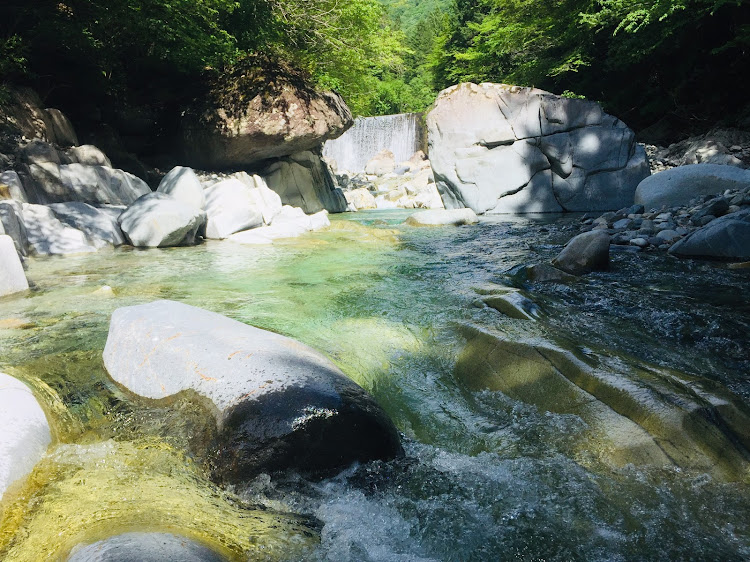 の投稿画像6枚目