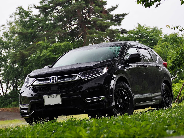 CR-Vの自然の中のCR-V・紫陽花コラボ・紫陽花・梅雨・新潟のいいところに関するカスタム事例の投稿画像6枚目