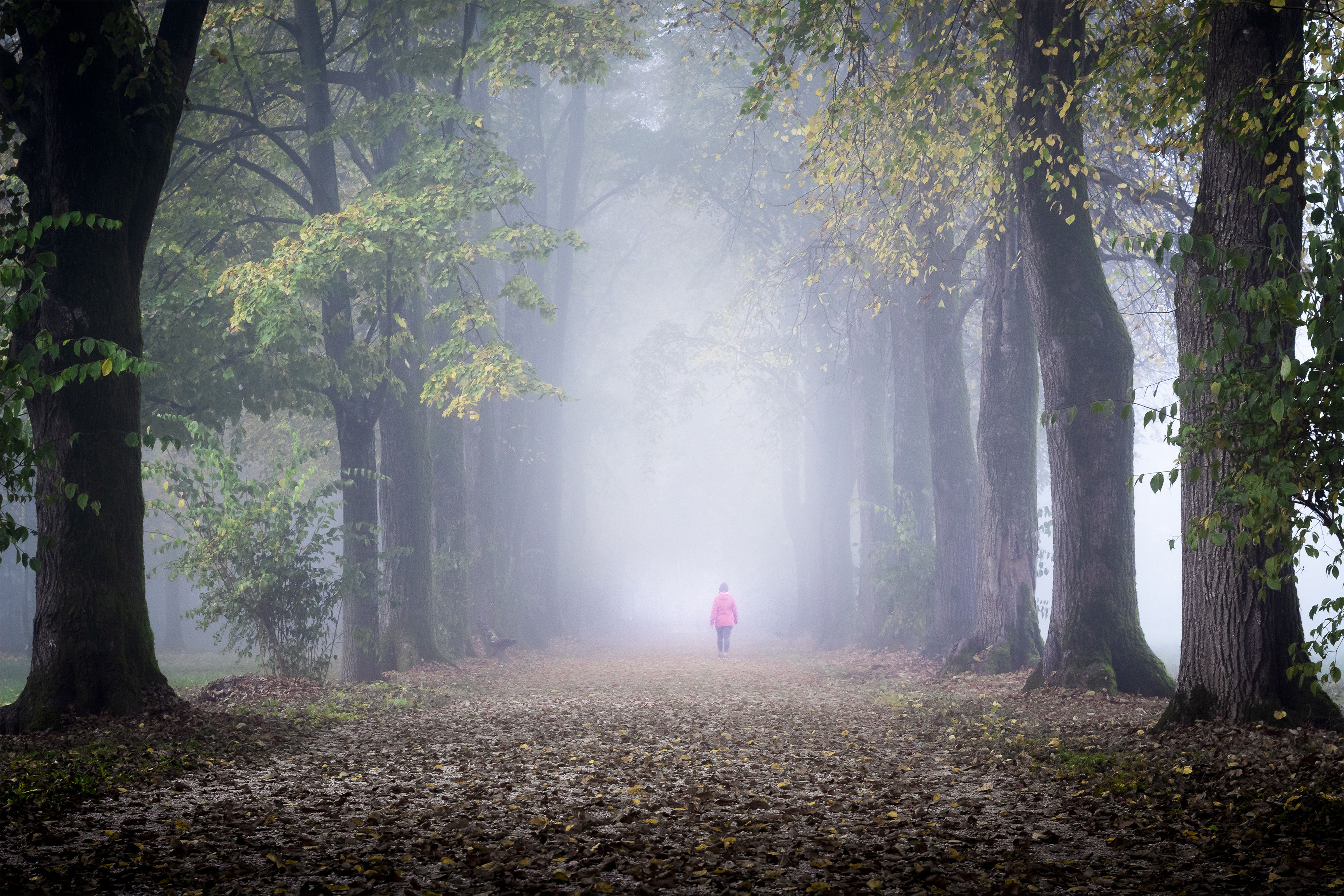 La selva oscura... di Sara_V_98