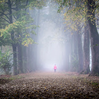 La selva oscura... di 