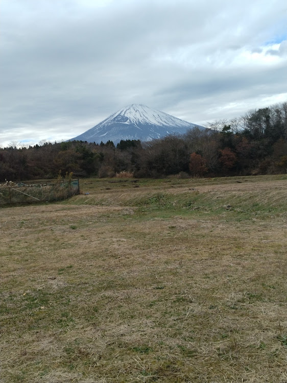 の投稿画像8枚目