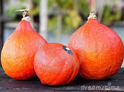 The Red Kuri Squash