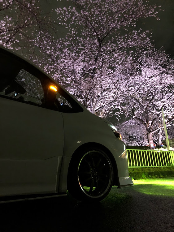 ヴォクシーのクールレーシング・ドライブ・サクラと愛車に関するカスタム事例の投稿画像3枚目