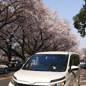 ヴォクシー ZRR80W